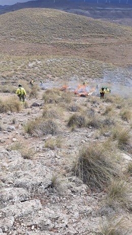 Tareas de control de un conato de incendio forestal