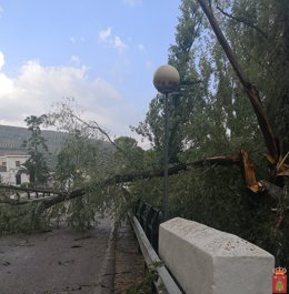 Puente de acceso a Mogón cortado por un árbol derribado por el fuerte viento.