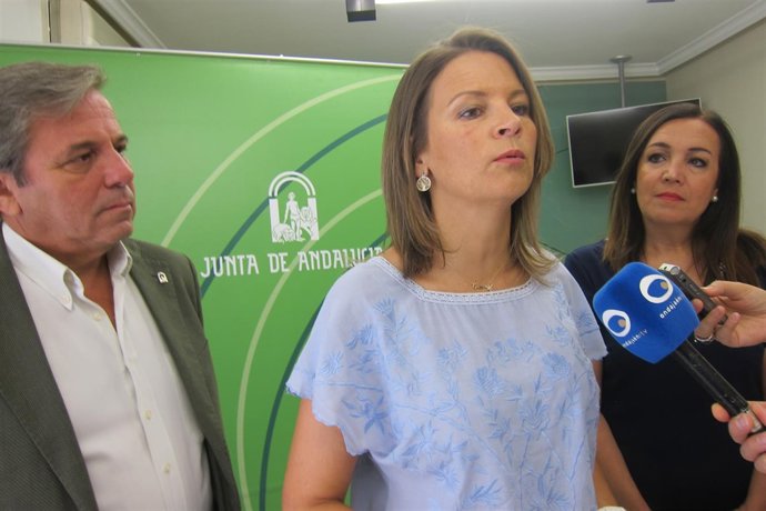 Ana Cobo atiende a los periodistas.