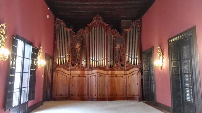 Organo musical, instrumento