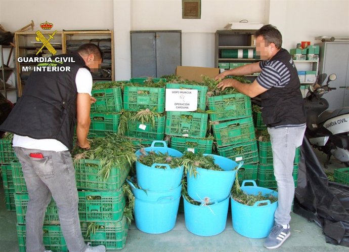 Invernadero 9.000 plantas de Marihuana 