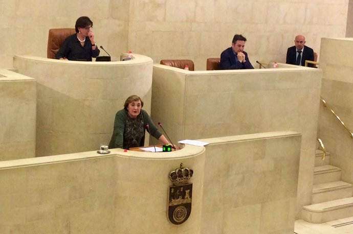 La consejera de Sanidad, María Luisa Real, en el Parlamento