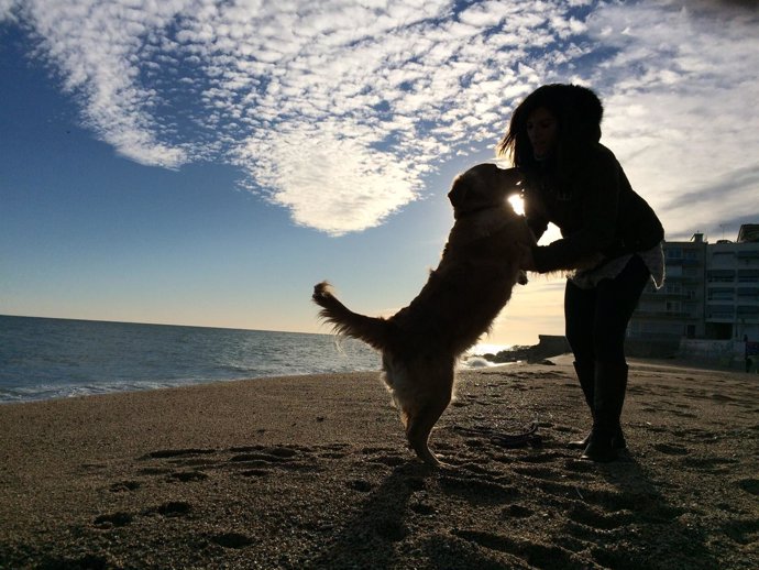 Mujer con un perro en la playa