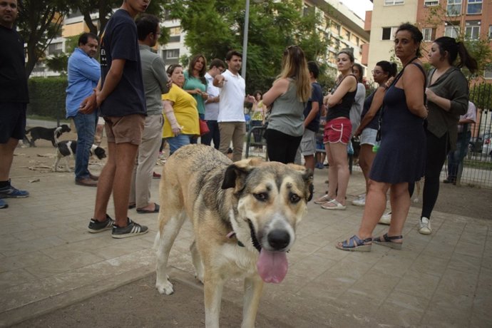 Parque Rosario Valpuesta.
