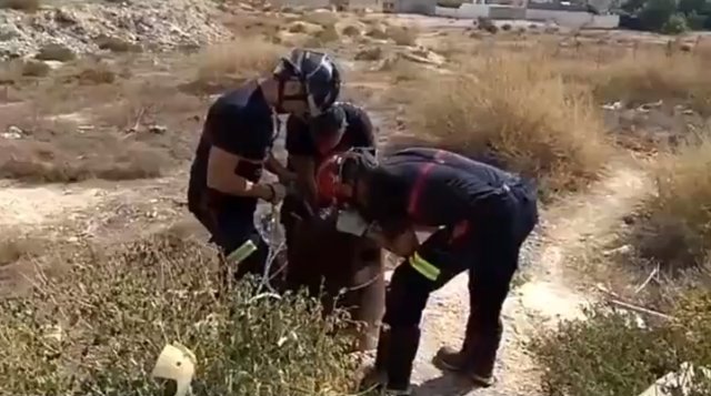 Rescatan unos cachorros que fueron arrojados a una tubería