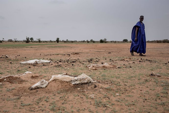Sequía en Senegal