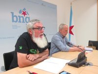 Las velutinas realizan este año nidos más pequeños, pero más próximos a viviendas por las lluvias