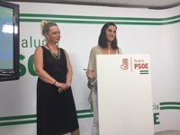 PSOE-A pide al PP-A que "apoye" a la Junta en la lucha contra incendios y los culpa de "meter políticamente el cerillo"