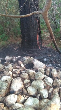 Incendio forestal a causa de un rayo, extinguido en Calvià