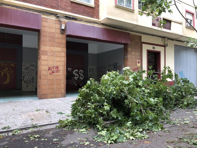 Grandes ramas caídas a causa de la fuerte tormenta de este miércoles en Zaragoza