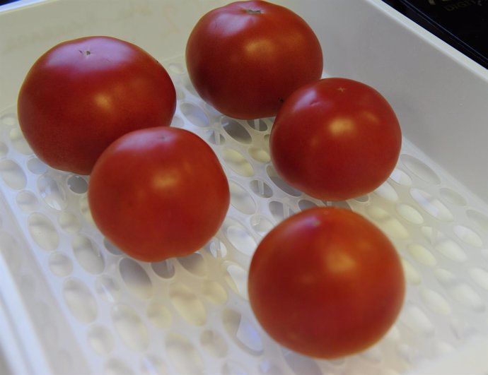 Experimentación, tomates CITA