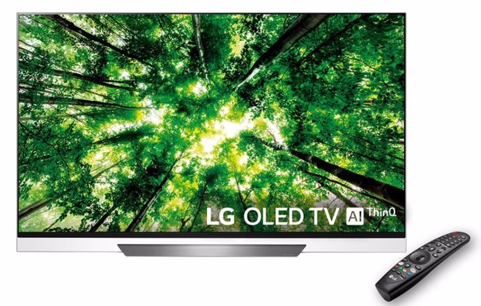 Televisor LG OLED TV AI Thinq (Modelo OLED65E8)