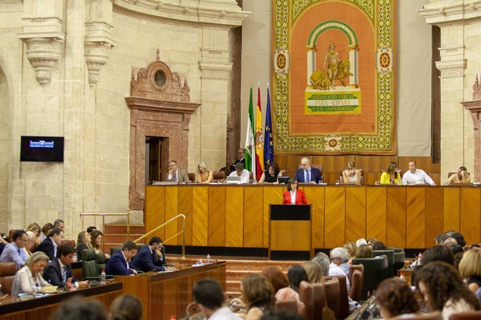 Debate en el Pleno del Parlamento andaluz