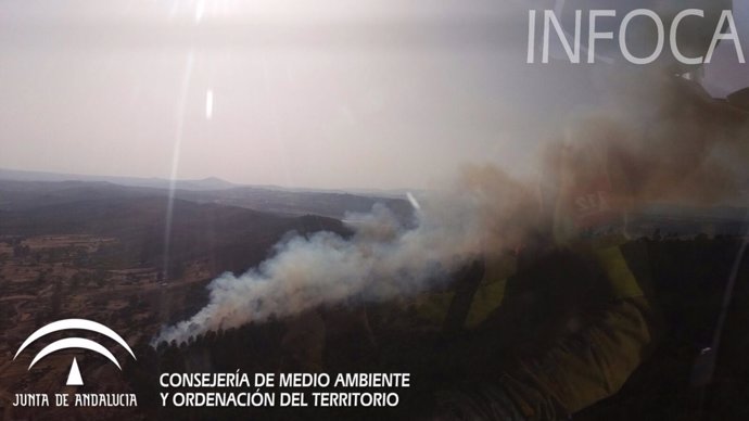 Incendio forestal en Calañas