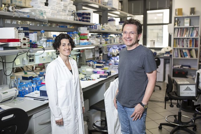 Raúl Méndez i Eulàlia Belloc en un laboratori de l'IRB Barcelona