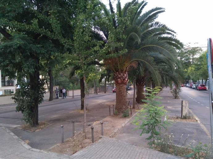 Avenida Virgen de Guadalupe de Cáceres