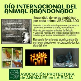 DÍA INTERNACIONAL DEL ANIMAL ABANDONADO