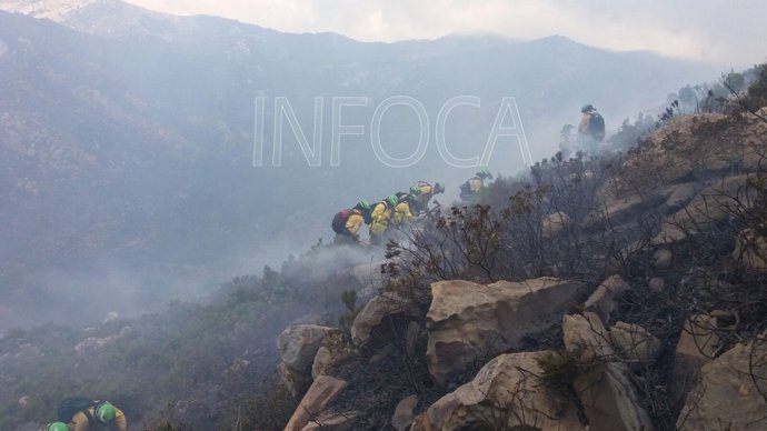 Imagen del incendio forestal de Tarifa