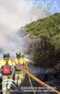 Extinguido el incendio forestal en Benahavís