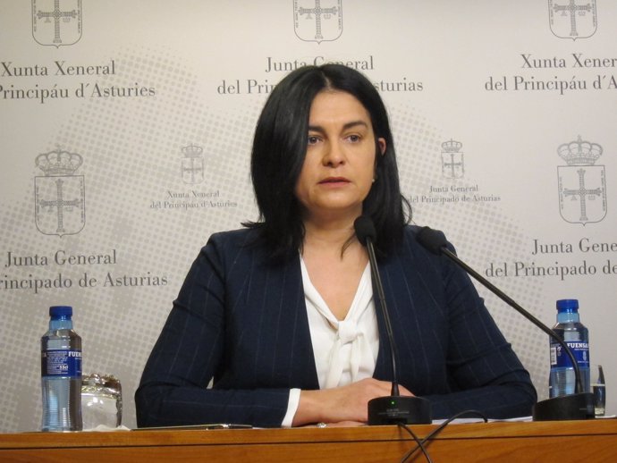 La diputada de Foro Asturias Carmen Fernández 