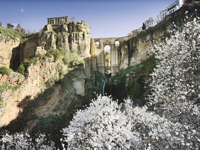 Puente Nuevo de Ronda turismo ciudad del tajo almendros flor 