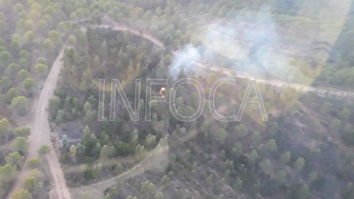 Declarado un incendio forestal en un paraje en Zalamea La Real 