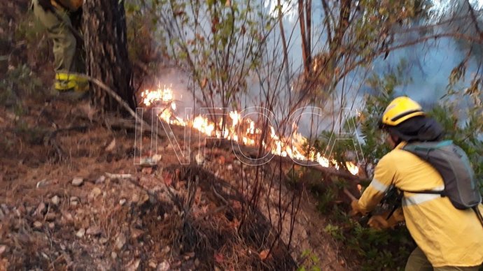 Controlado el incendio forestal en un paraje en Valverde del Camino 
