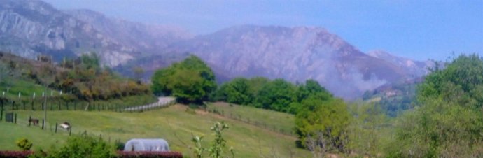 Incendio forestal en Paraes (Piloña). 