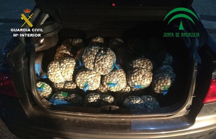 Chirlas intervenidas. 