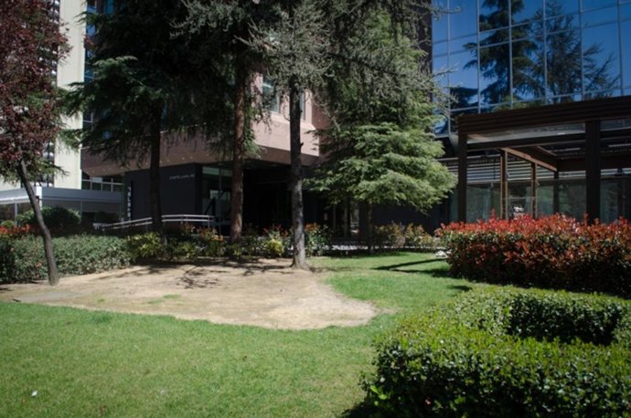 Jardí, espai verd