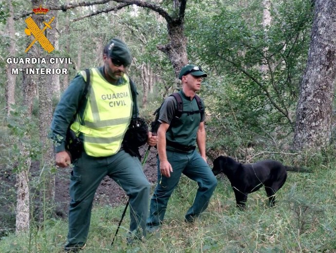 Labores de búsqueda en Areños (Palencia)
