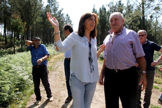 Ángeles Vázquez visita la asociación Amicos