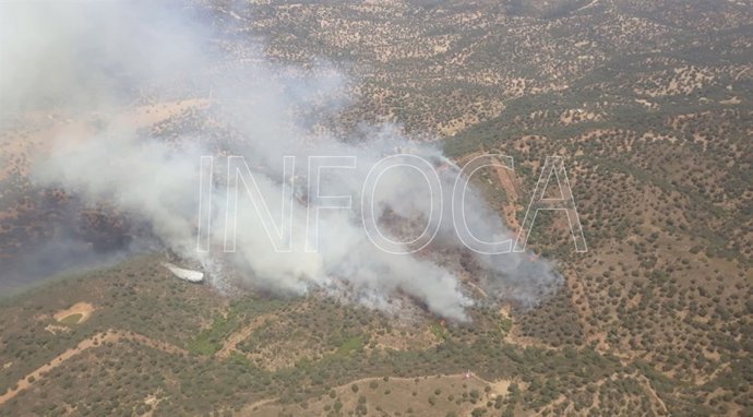 Incendio en El Ronquillo