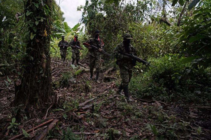 Guerrilleros del ELN