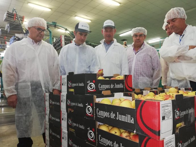 Del Amor visita la Cooperativa Hortofrutícola Campos de Jumilla 