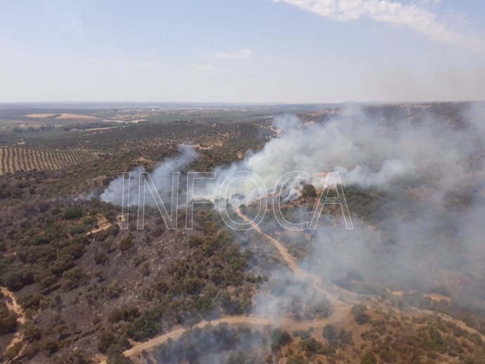 Incendio forestal en el Alto del Rincón, de Marmolejo, registrado el domingo.