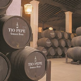 Bodega Tio Pepe 