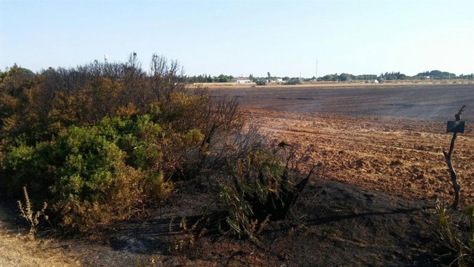 Bomberos de Chiclana intervienen en un incendio próximo a viviendas