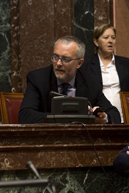 El diputado regional de Partido Popular, Domingo Segado