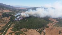 Alcalde de Tarifa (Cádiz) lamenta "la mayor incidencia" de incendios y pide colaboración a la población