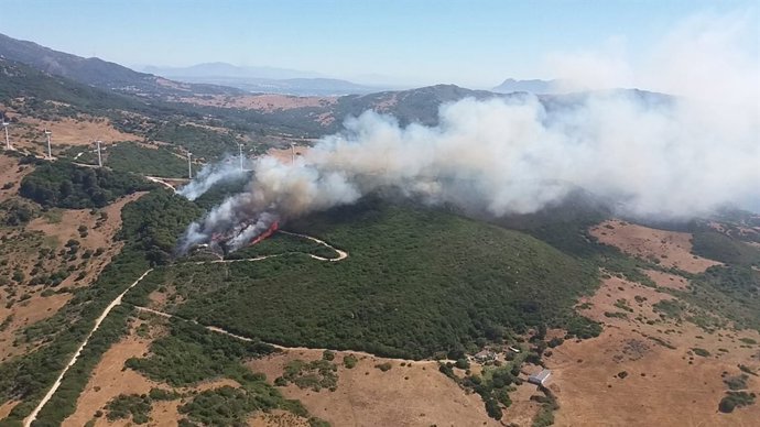 Incendio forestal en Tarifa (Cádiz)