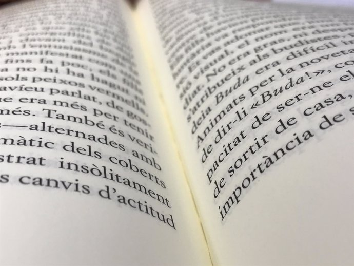 Libro, leer, catalán, lectura, página