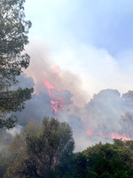 Incendio forestal en Cala Magraner