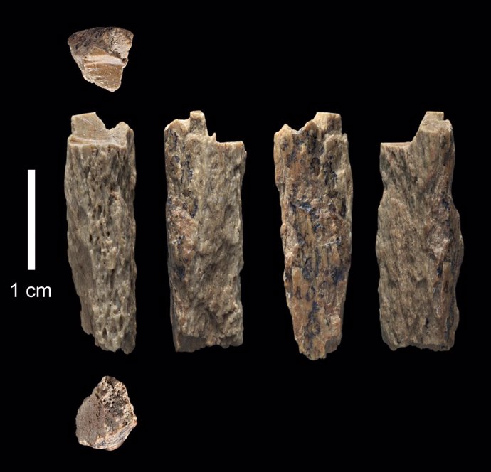 Fragmento de hueso encontrado en 2012 en la Cueva de Denisova