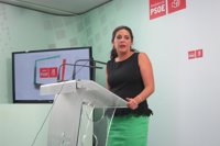 PSOE-A señala que antes de abordar una rebaja del IRPF hay que resolver el objetivo de déficit y la senda de estabilidad