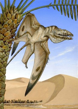 Reconstrucció de Caelestiventus hanseni, de M.Skrepnick (Brigham Young Univ)