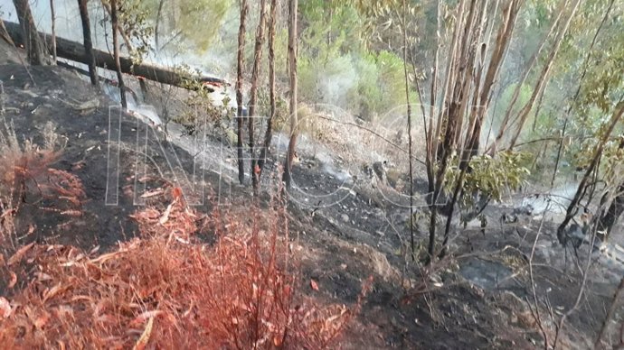 Incendio en el paraje del Pantano de Aracena