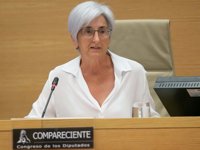 El PP quiere que la fiscal general aclare si va a amparar a los ciudadanos que retiran lazos amarillos