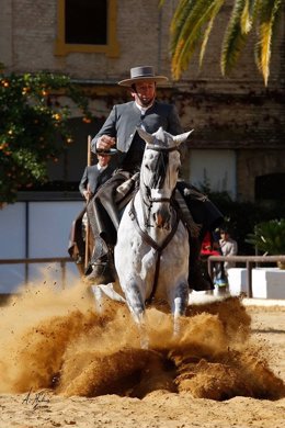 Espectáculo ecuestre 'Pasión y Duende del Caballo Andaluz' 