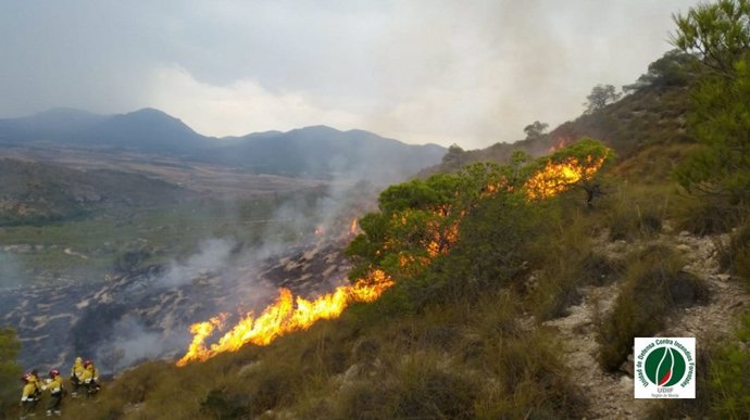 Imágenes facilitadas por Unidad de Defensa Contra Incendios Forestales ( UDIF)